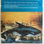 orca australian daybill poster